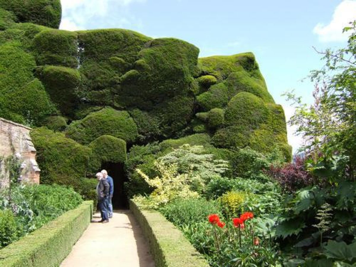 Pgds 20080711 154900 Powis0012