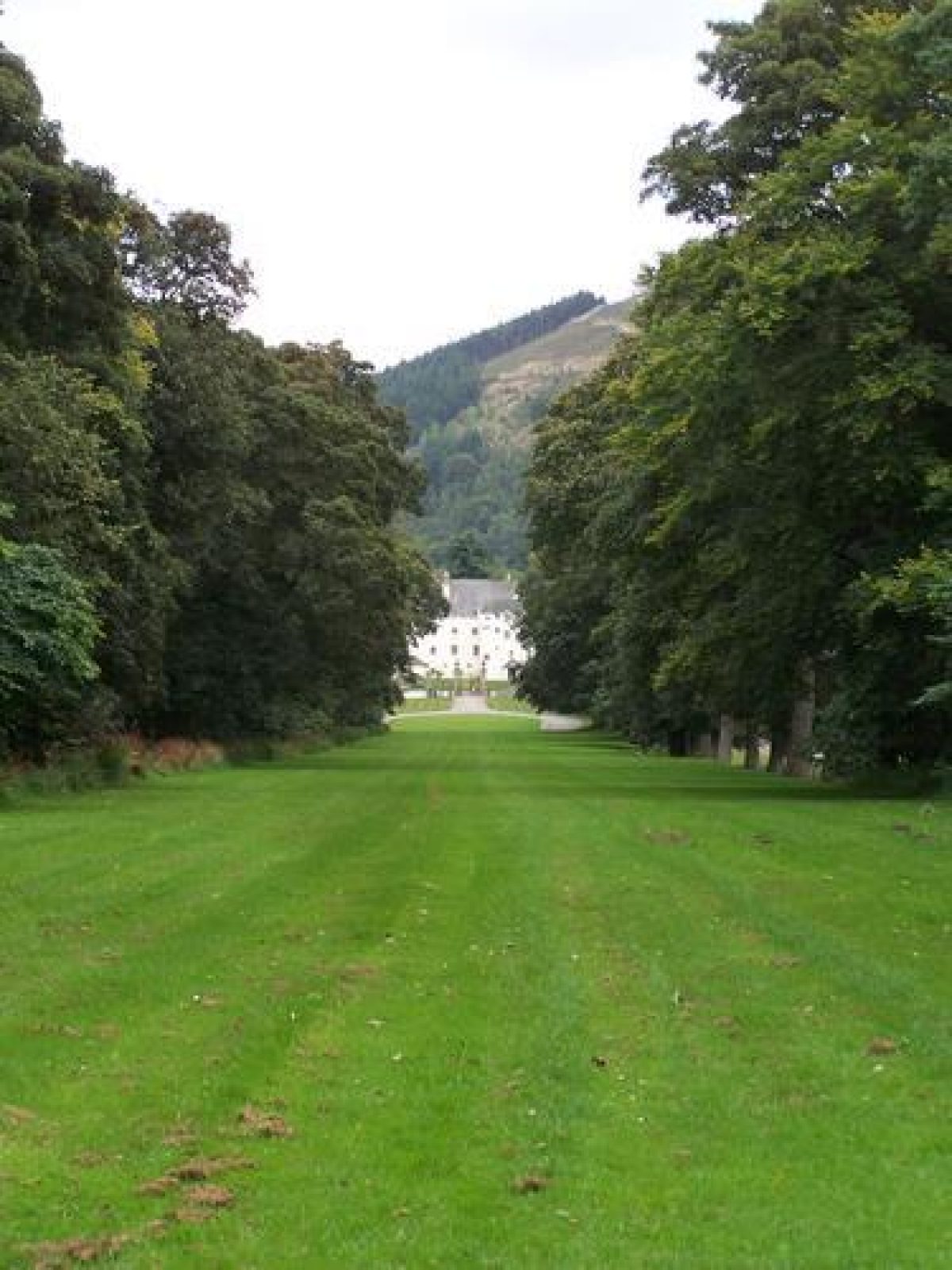 Pgds 20080714 144437 Avenue