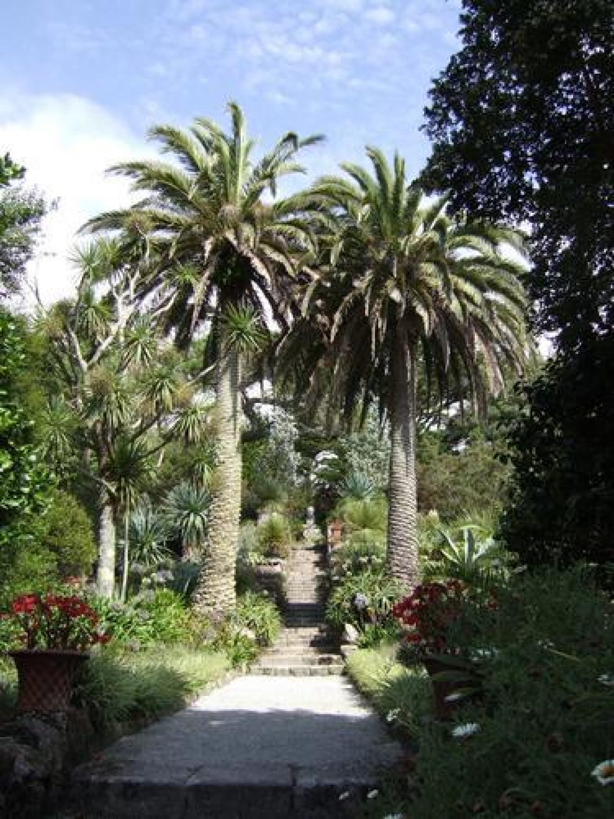 Pgds 20080722 154023 Tresco0009