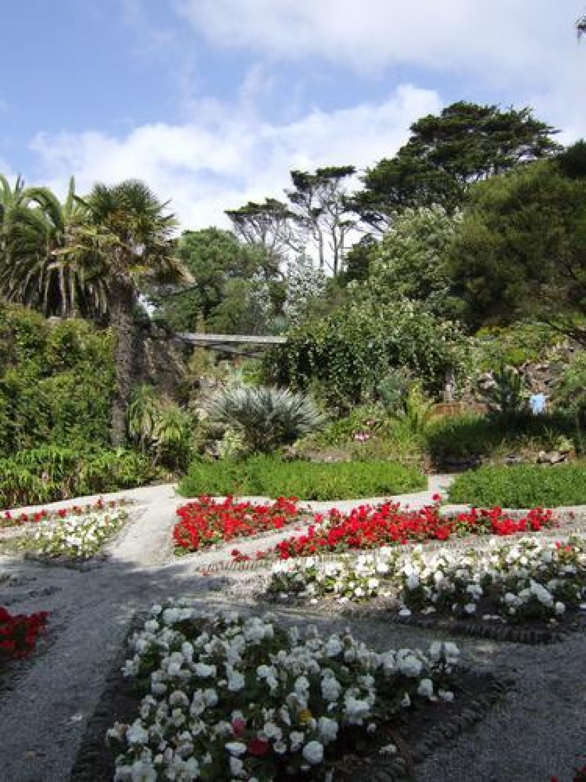 Pgds 20080722 155637 Tresco0010