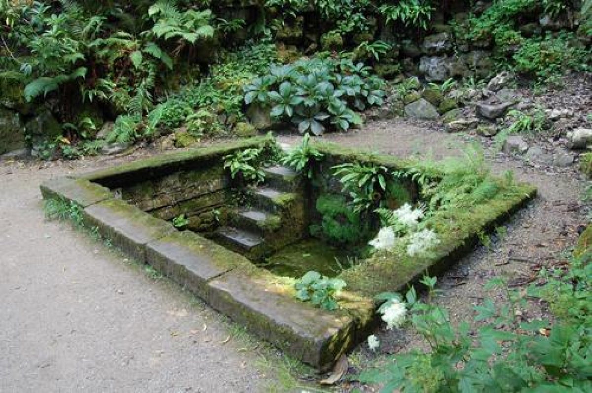 Pgds 20080804 114936 P Powis Castle Aug 08 038