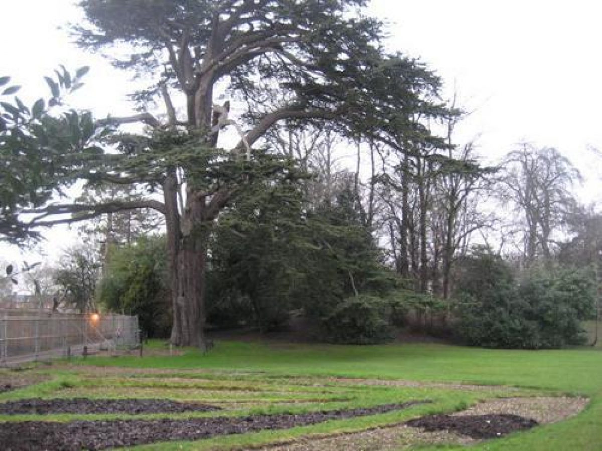 Pgds 20080819 103303 Img 0007