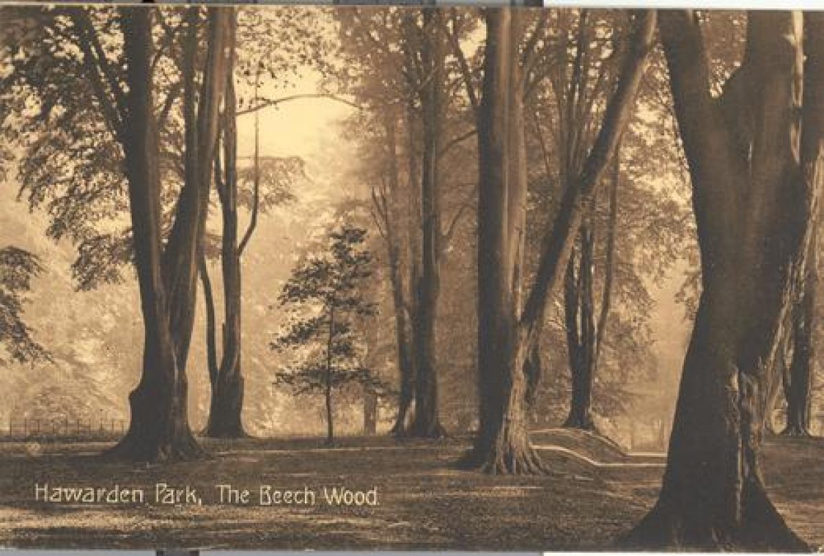 Pgds 20080819 143832 Harwarden23