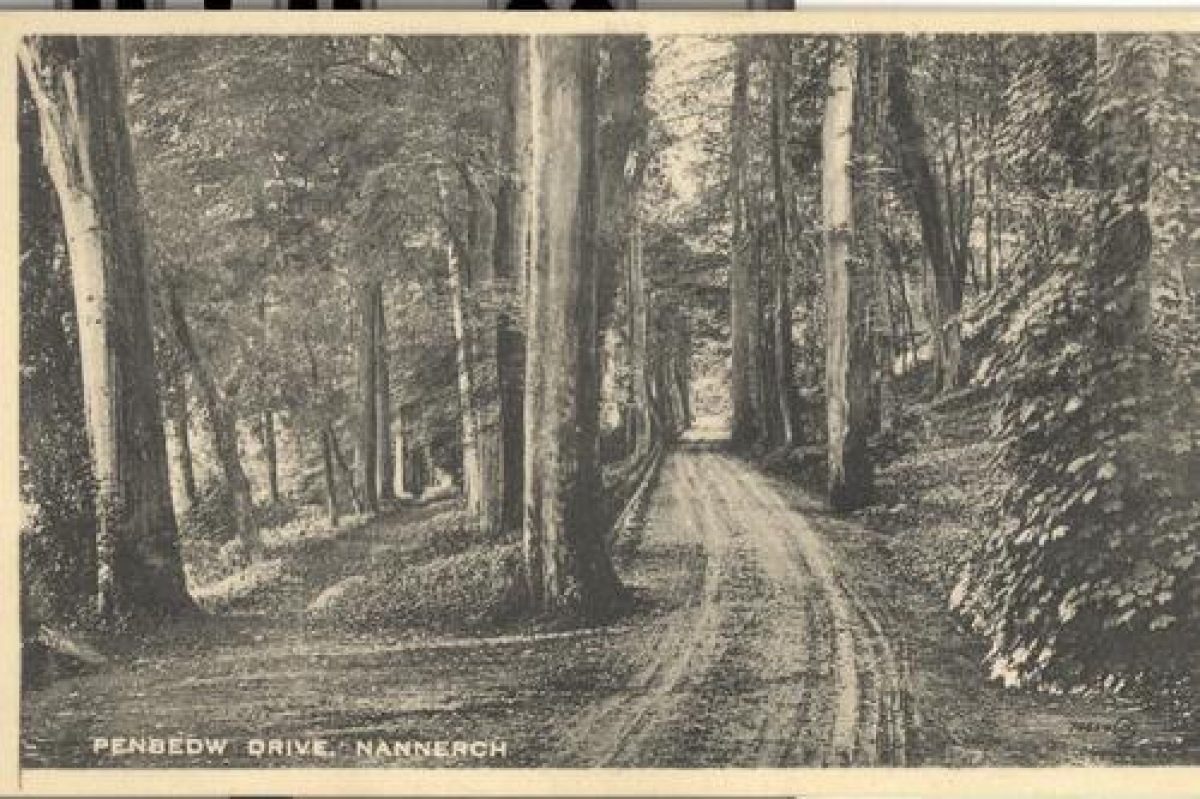 Pgds 20080819 153701 Penbedw5