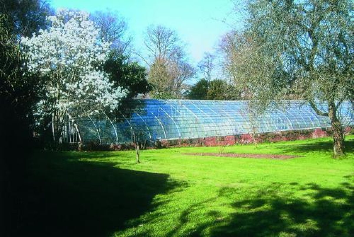 Pgds 20081020 160626 Image184