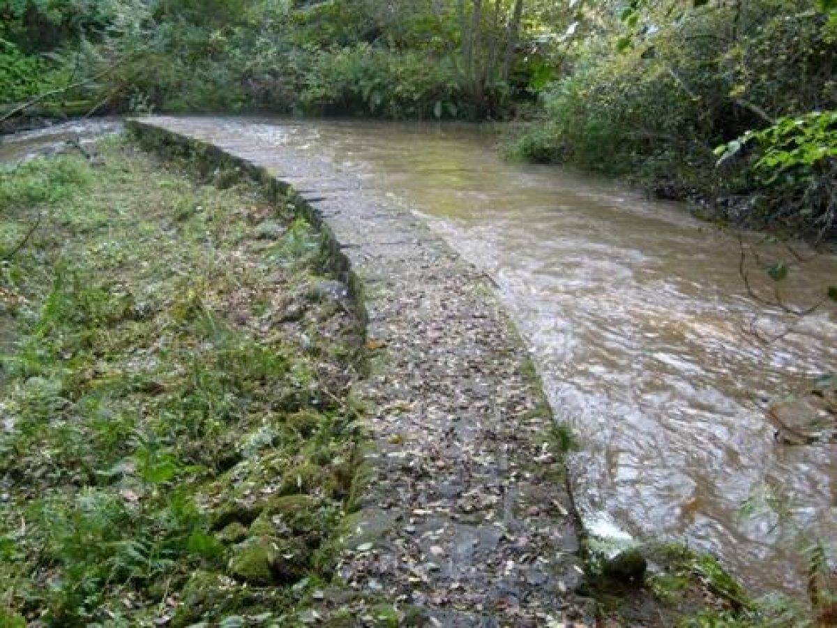 Pgds 20081105 153324 S6300402