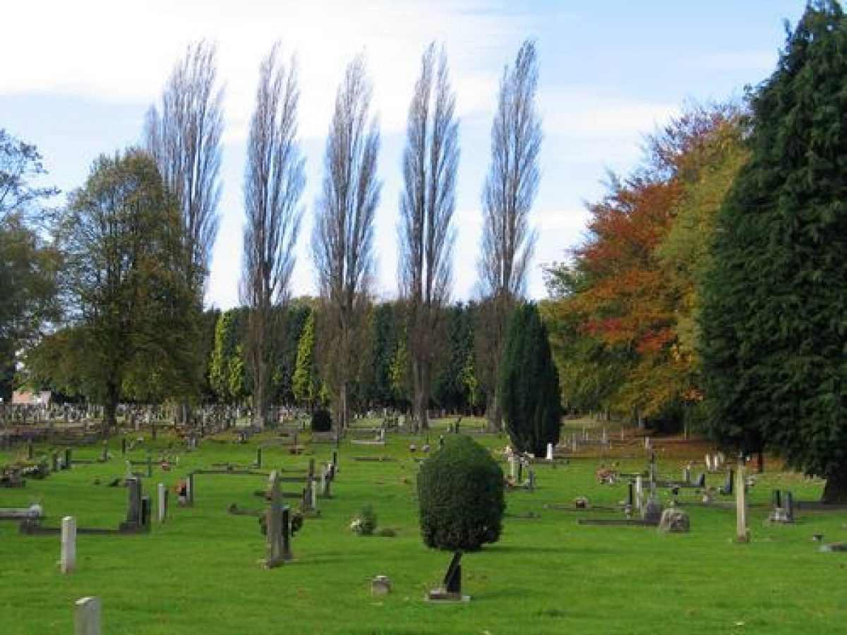 Pgds 20081114 105917 190 9090