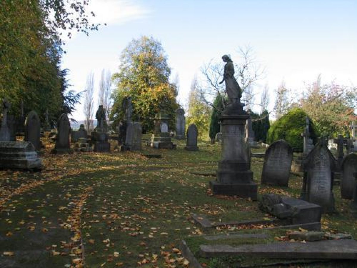 Pgds 20081114 112208 191 9103