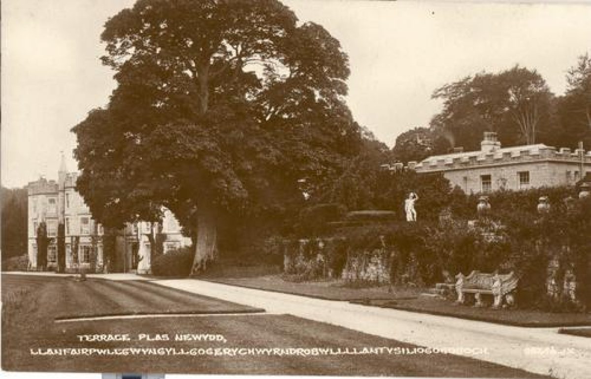 Pgds 20081126 134242 Plasnewydd 7 Crop