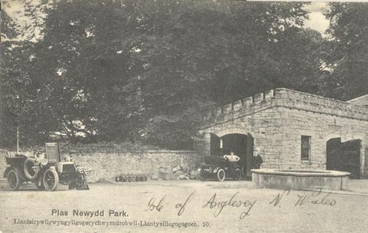 Pgds 20081127 111240 Plasnewydd 11 Crop