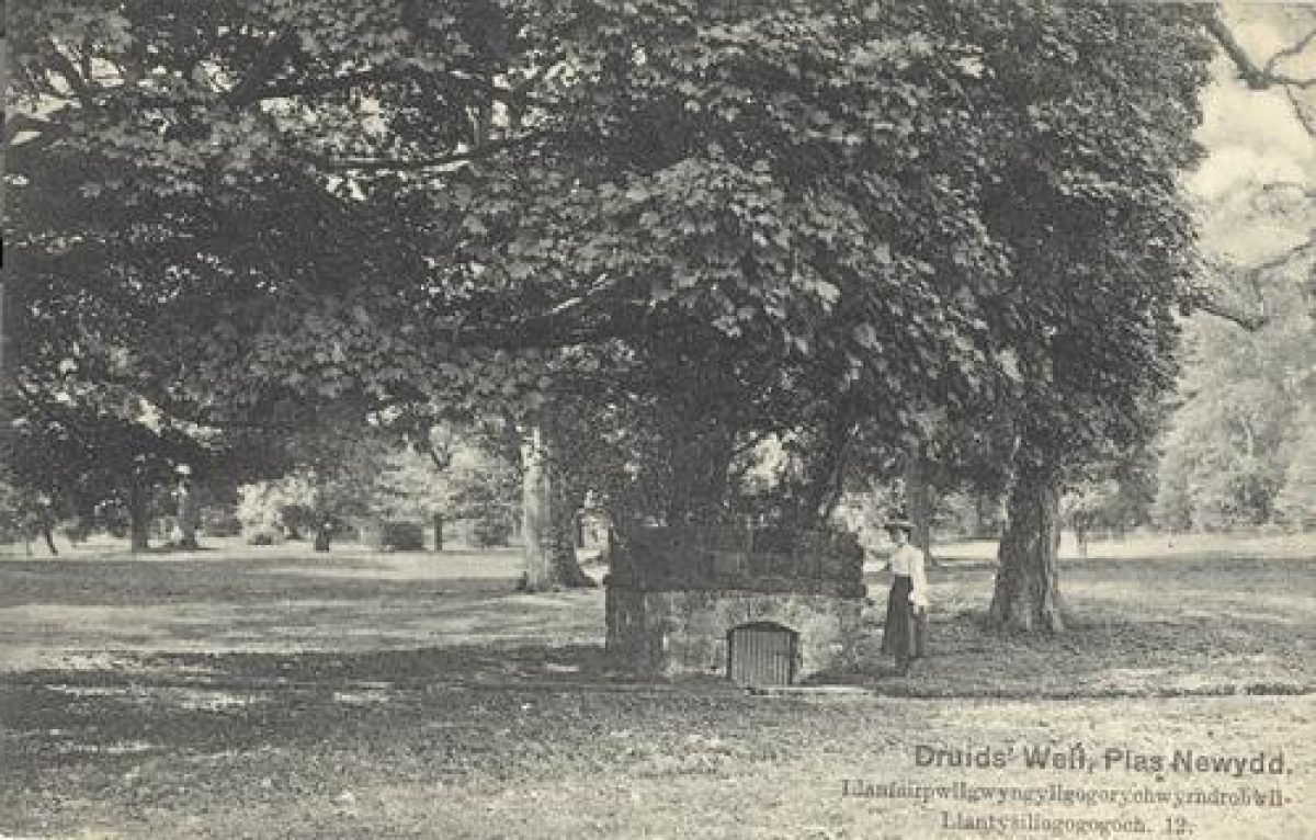 Pgds 20081127 113711 Plasnewydd 14 Crop