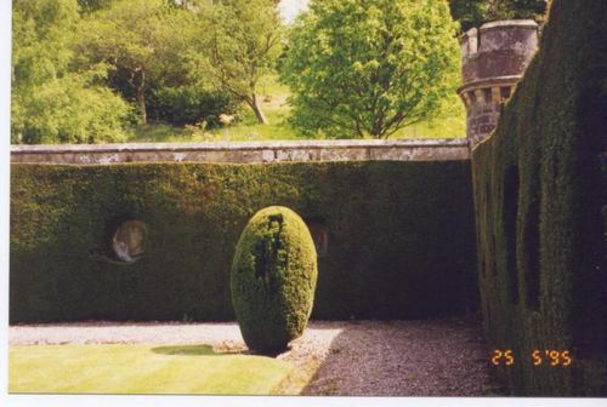 Pgds 20081127 171916 Abbotsford Melrose Scotland Medallion Walls And Yew Hedge