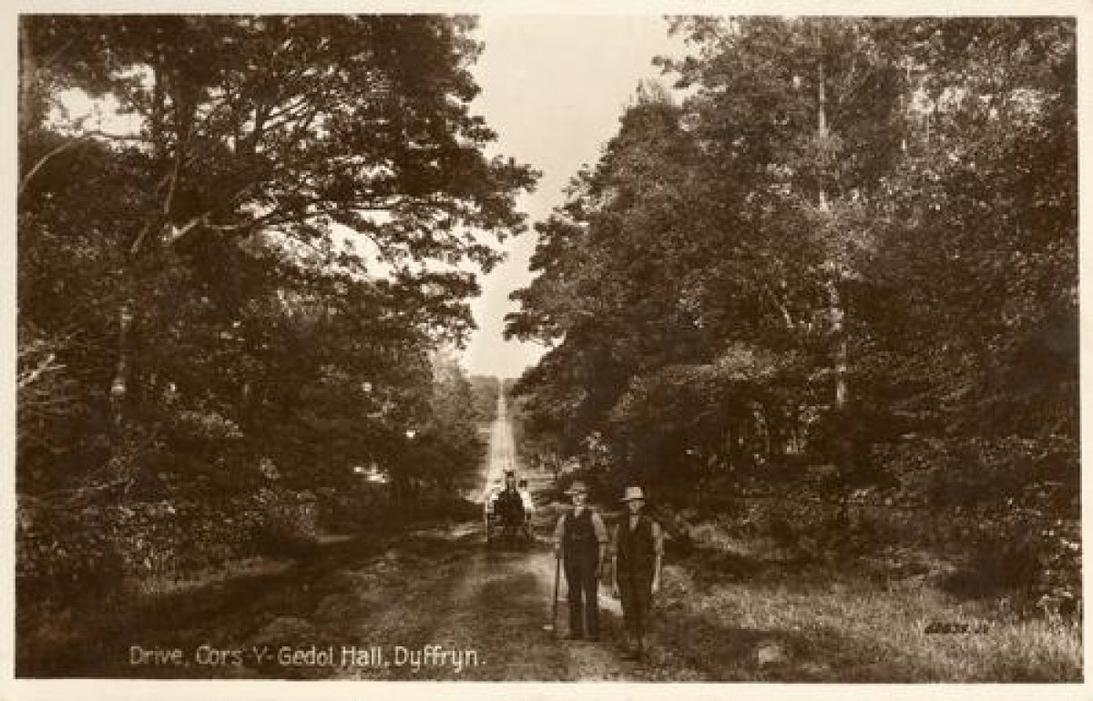 Pgds 20090211 102119 Corsygedol 19 Crop