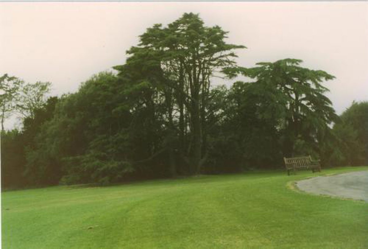 Pgds 20090213 161519 Clevedon Hall0004