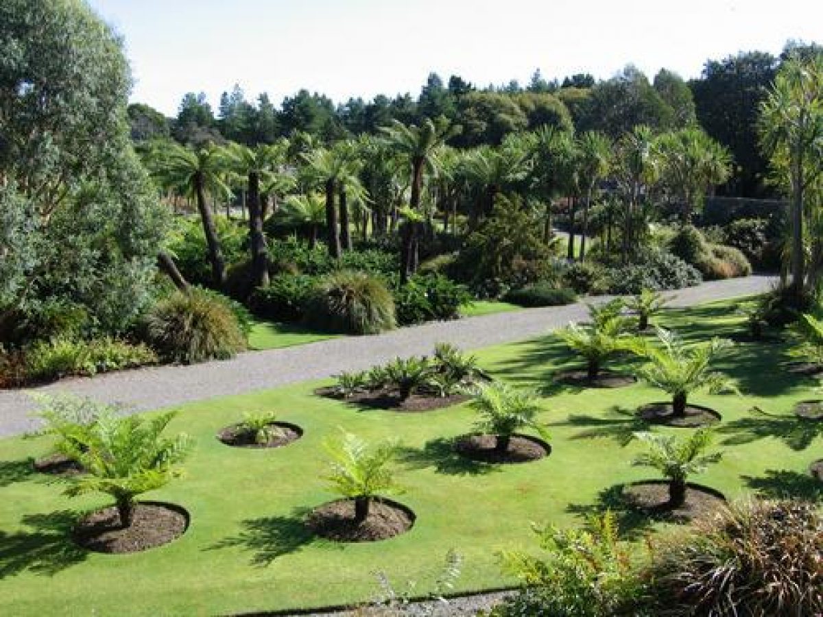 Pgds 20090301 101056 Img 4381