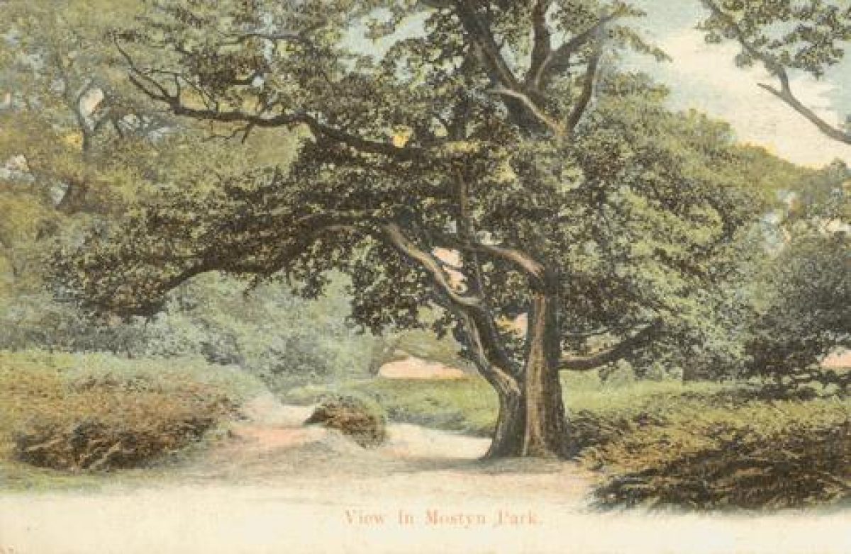 Pgds 20090310 141107 Mostyn 6 Crop