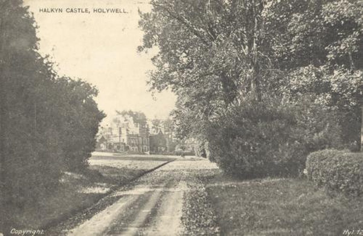 Pgds 20090311 103828 Halkyn 2 Crop