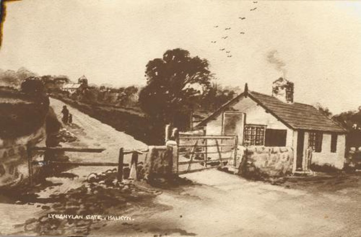 Halkyn Castle Parks and Gardens (en)