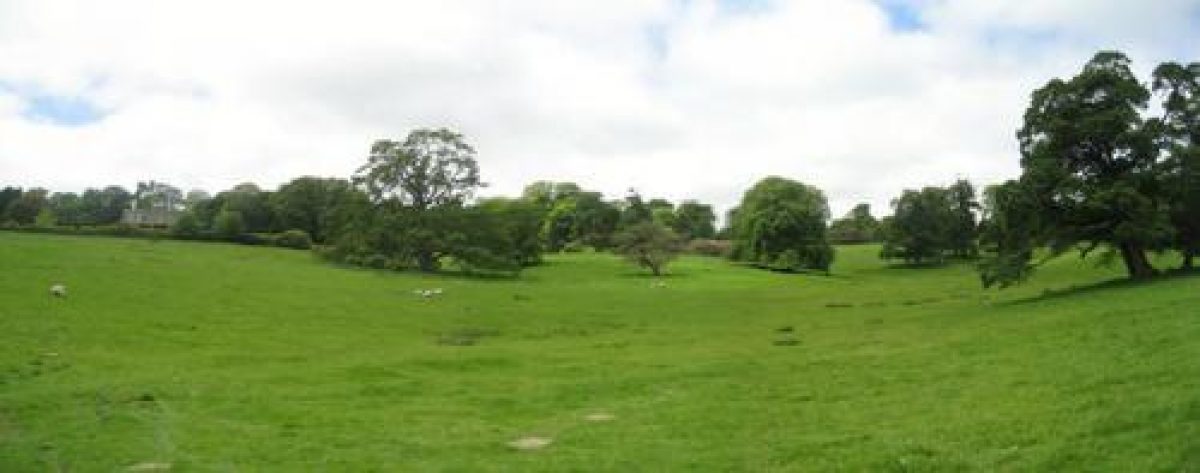 Pgds 20090416 114558 Trewarthenick 3