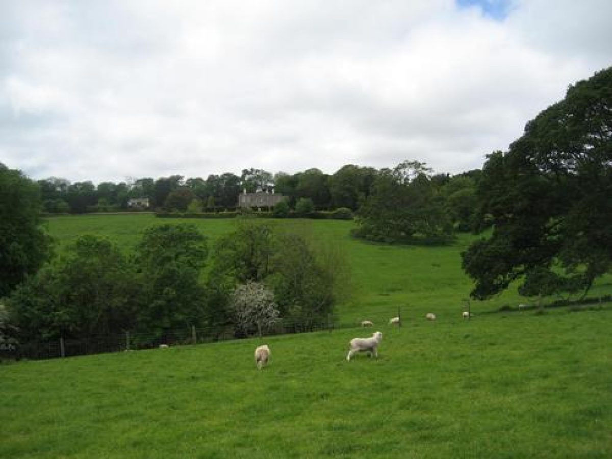 Pgds 20090417 091122 Img 3483