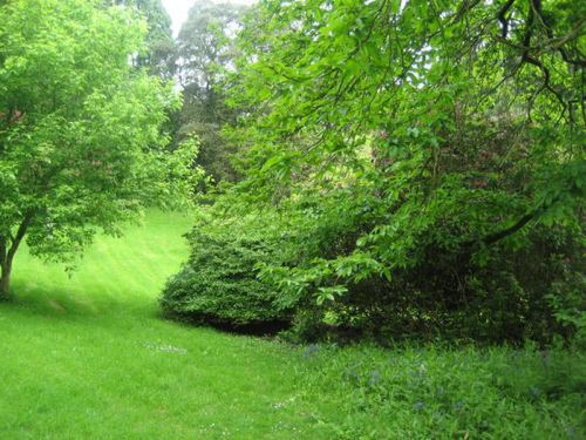 Pgds 20090417 093329 Stc 3454