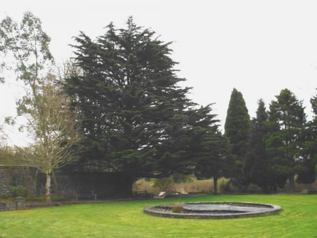 Pgds 20090518 120006 10