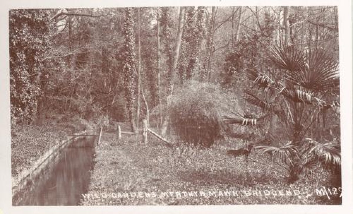 Pgds 20090625 094552 Merthyrmawr3