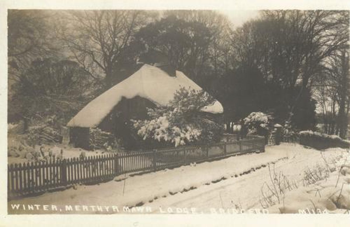 Pgds 20090625 101012 Merthyrmawr 5 Crop