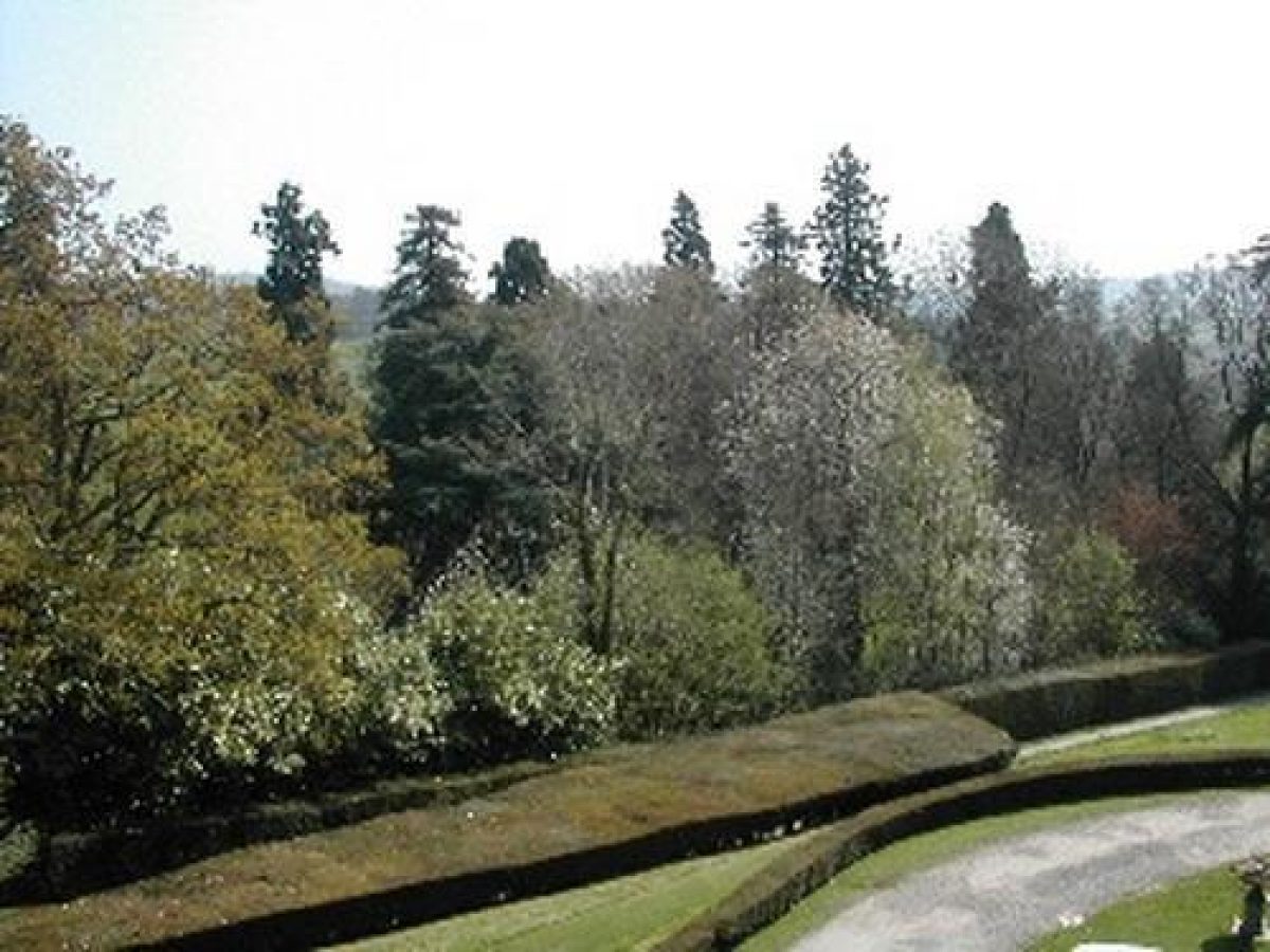 Whitbourne Hall Parks and Gardens (en)