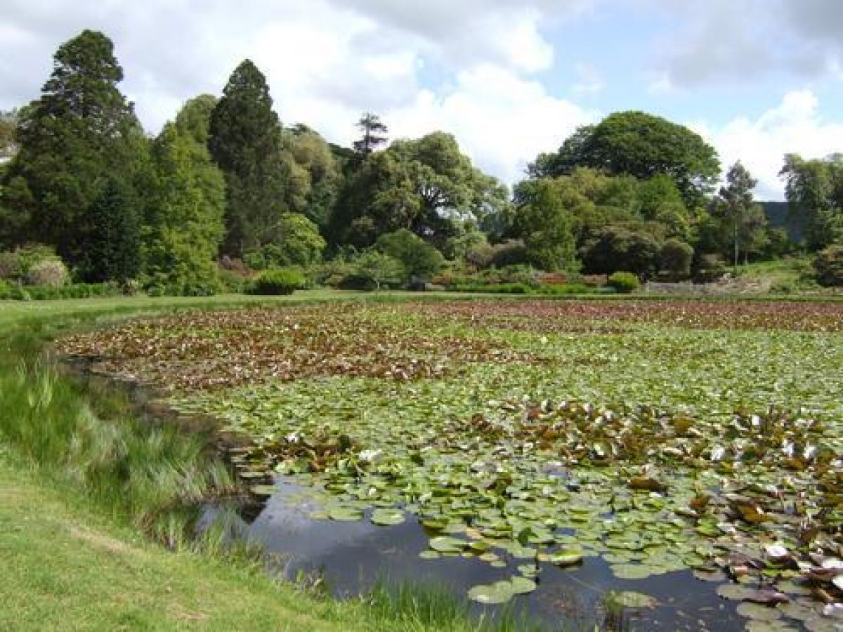 Pgds 20090717 161411 2009 0613Scotla