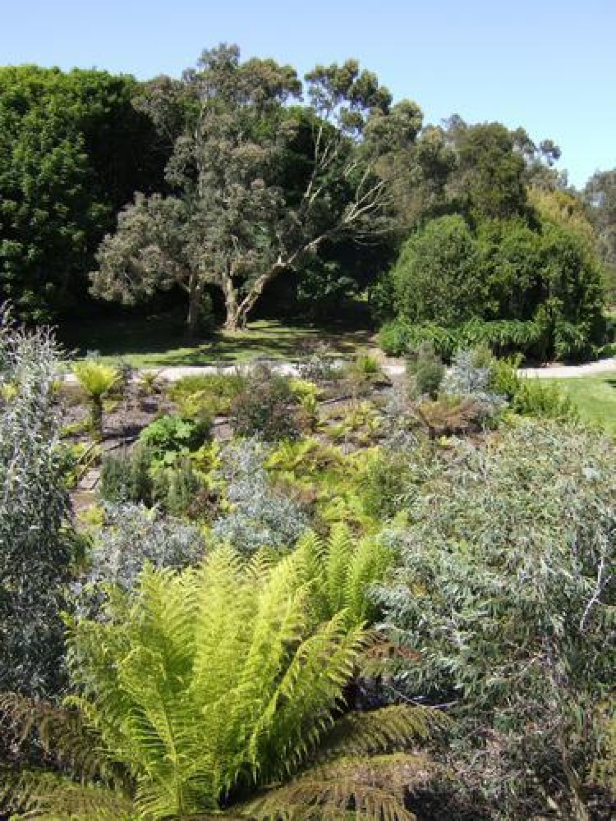 Pgds 20090717 172055 2009 0613Scotla