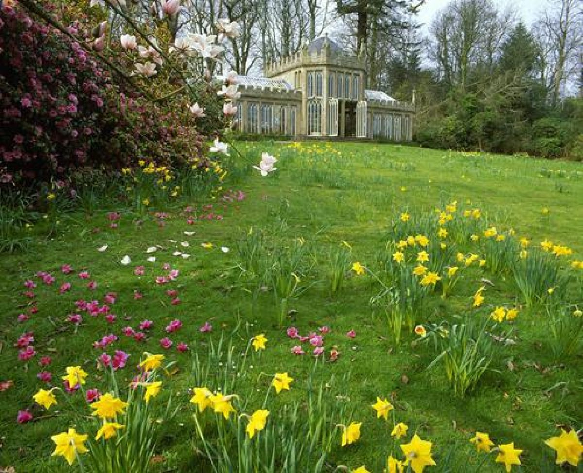 Pgds 20090724 105228 Culzean Castle 103 Camellia House