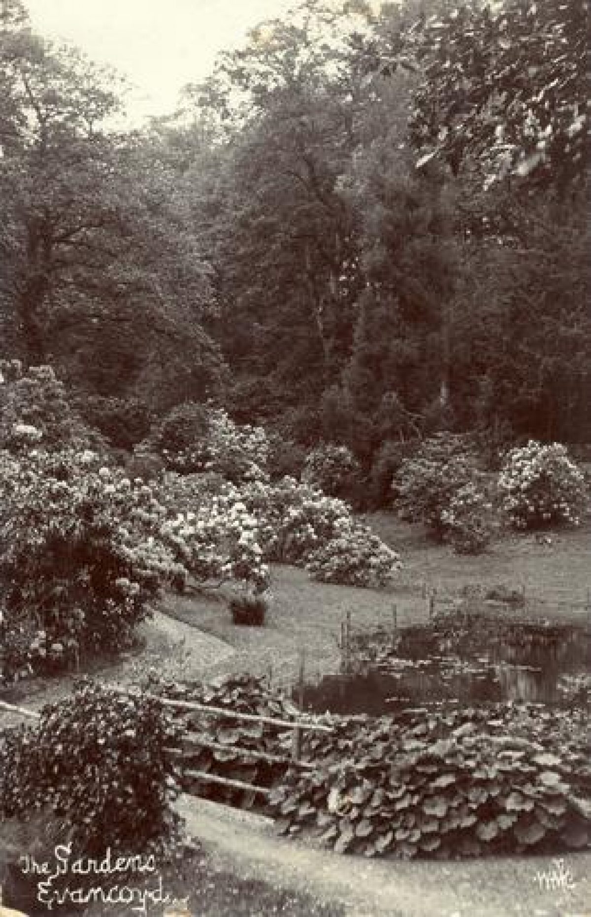 Pgds 20090829 110153 Evancoyd3