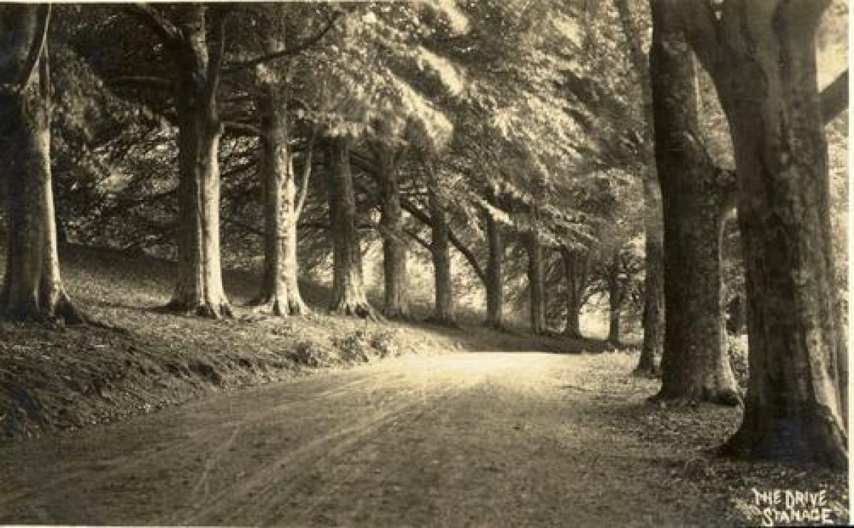 Pgds 20090829 121528 Stanage7