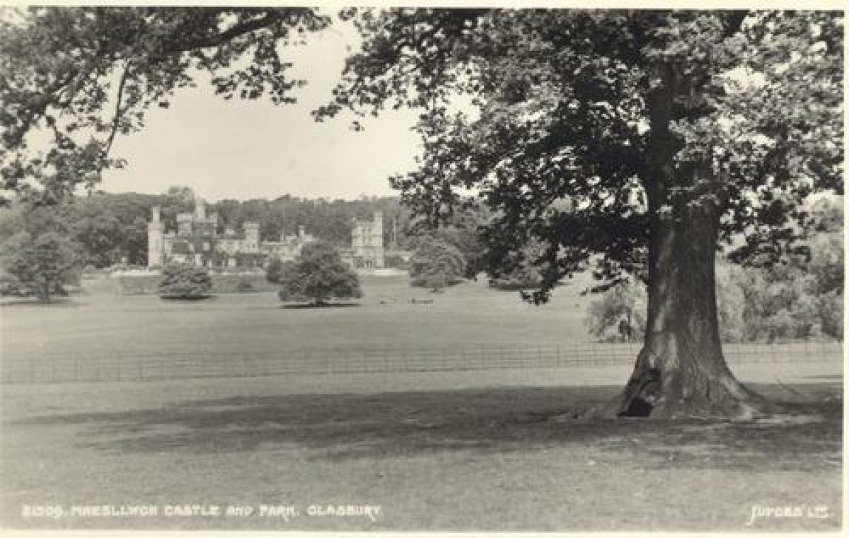 Pgds 20090829 125501 Maesllwch8