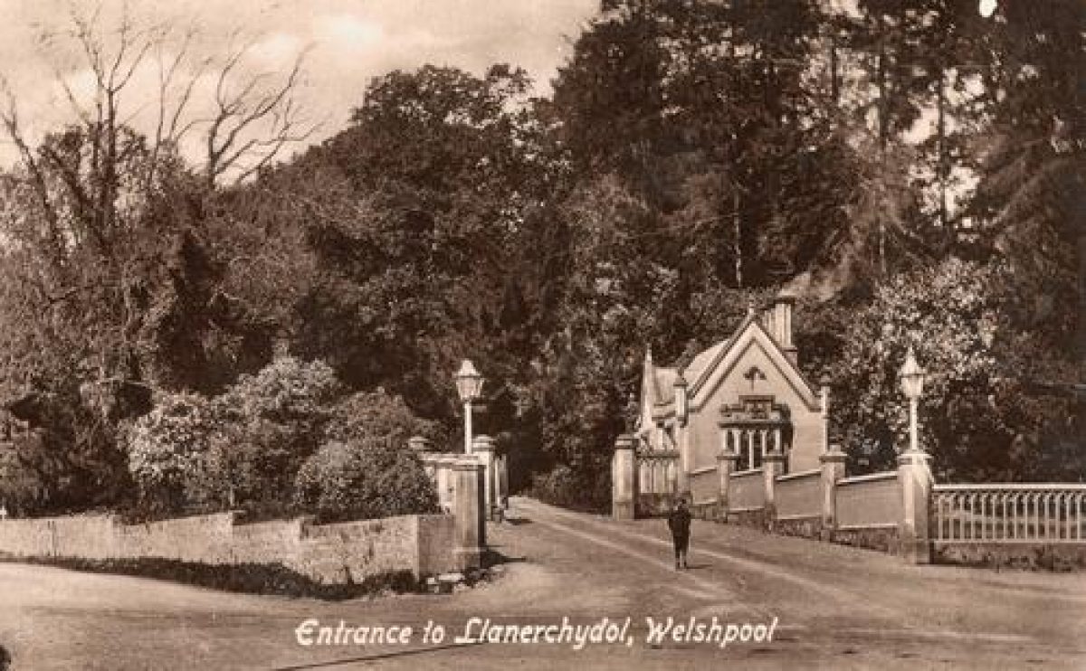 Pgds 20090829 153504 Llanerchydol7