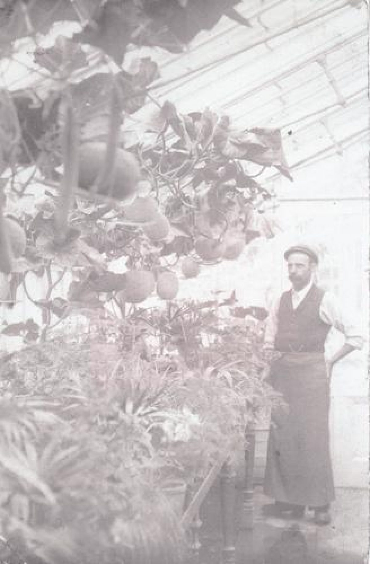 Pgds 20091017 153937 Hilston House5