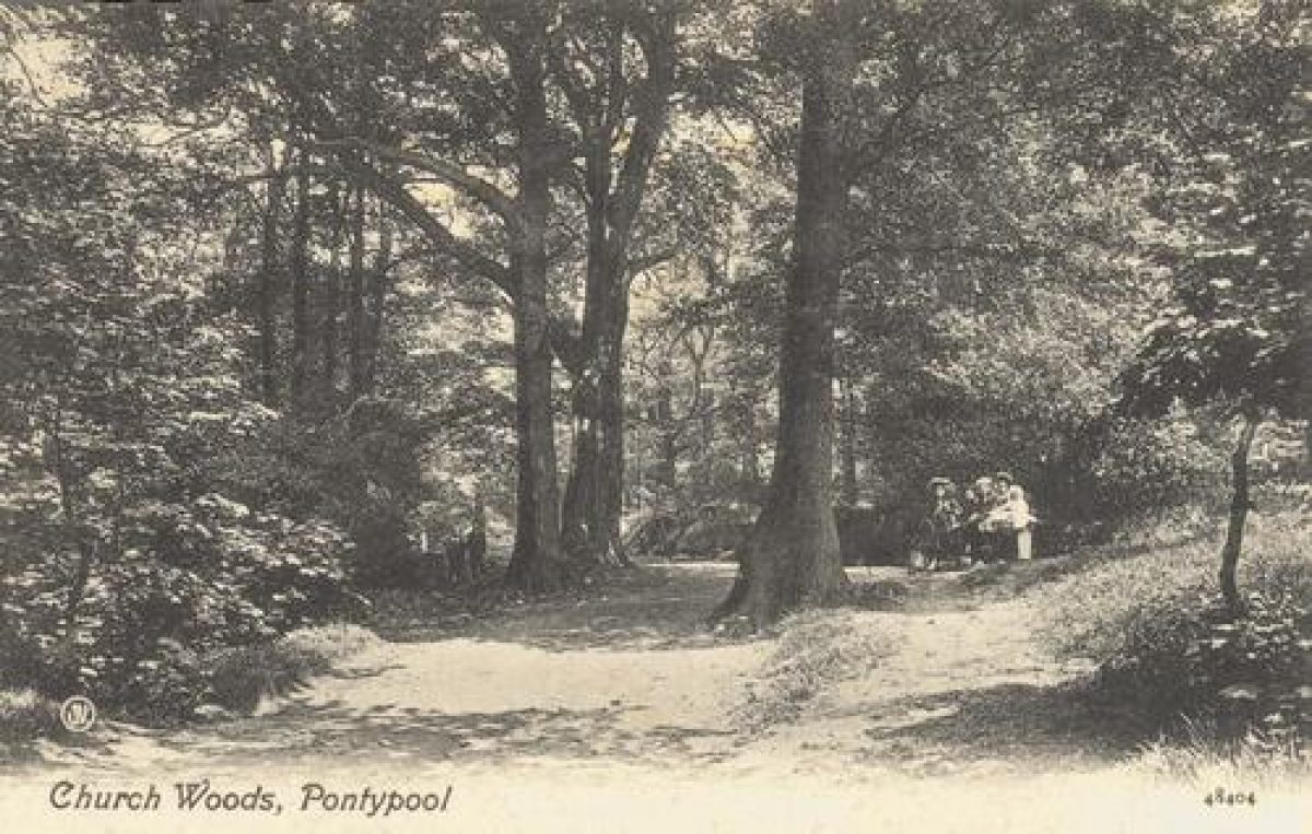 Pgds 20091020 084816 Pontypool Park10