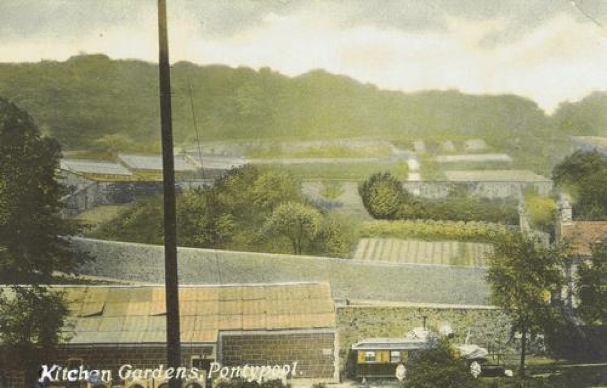 Pgds 20091020 100327 Pontypool Park32