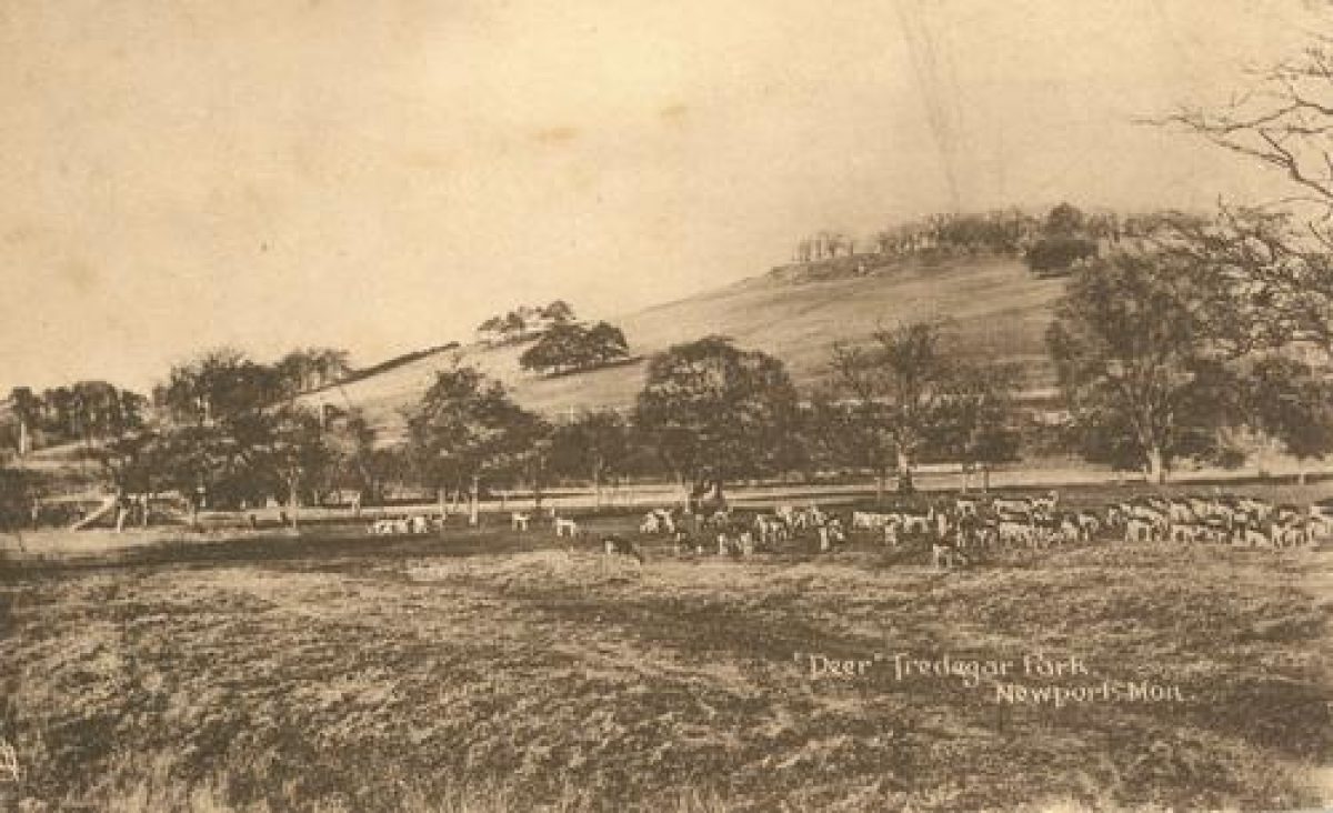 Tredegar Park Parks and Gardens (en)
