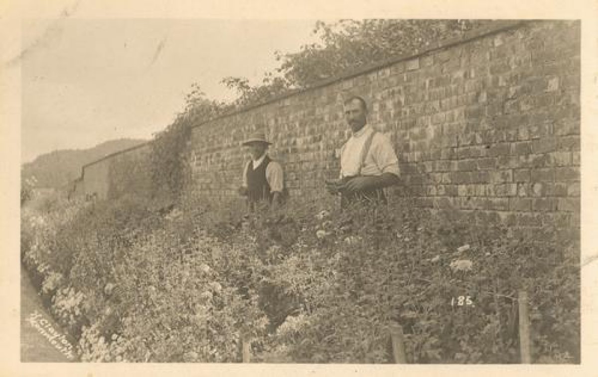 Pgds 20091020 152612 Hilston House6