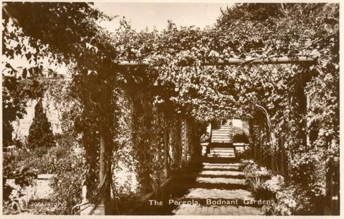 Pgds 20100119 194710 Bodnant15