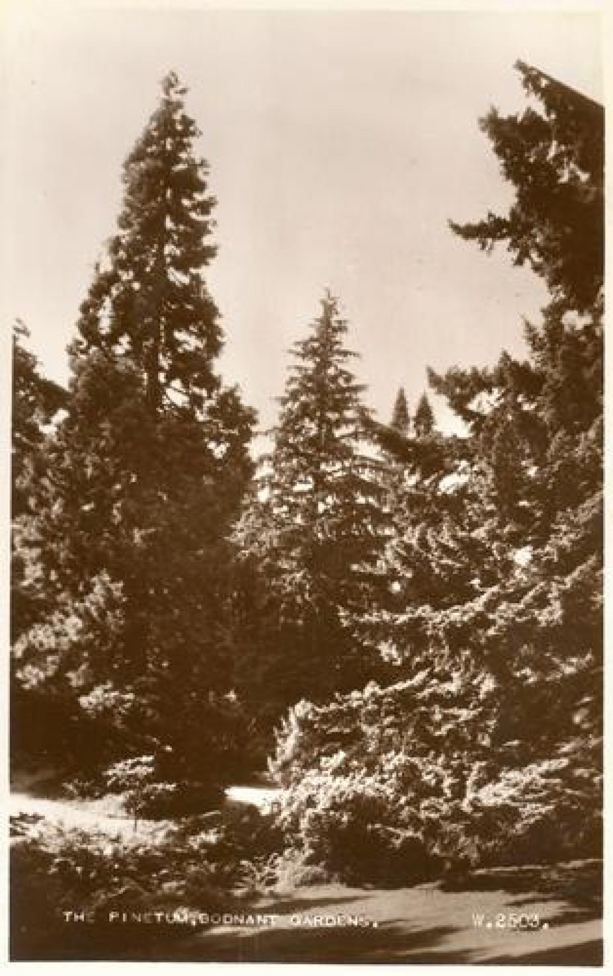 Pgds 20100119 195240 Bodnant18