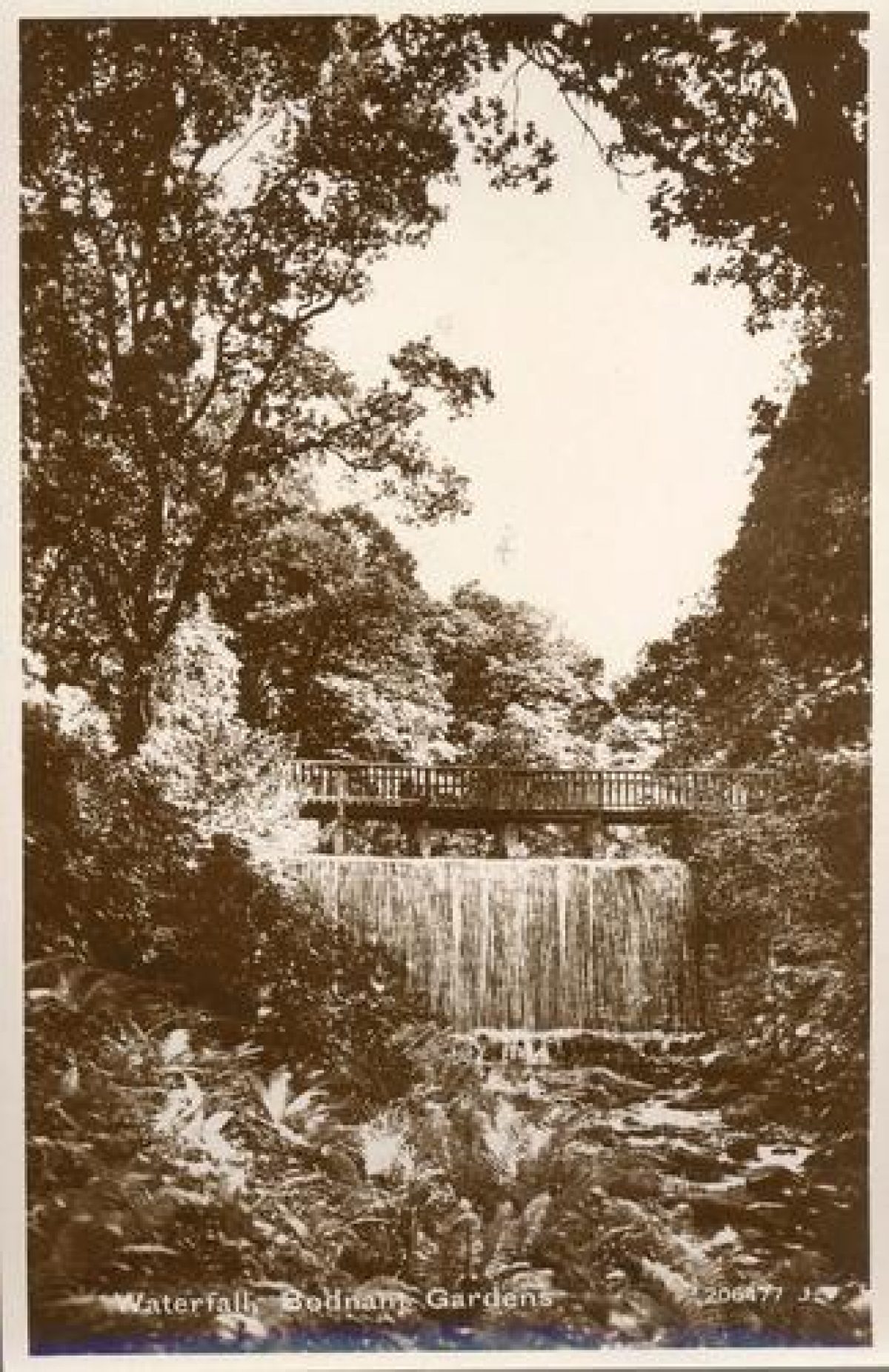 Pgds 20100119 200328 Bodnant25