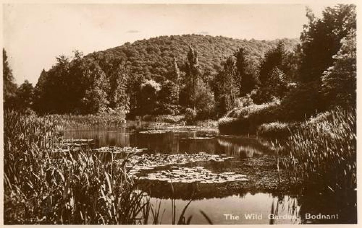 Pgds 20100119 203413 Bodnant33