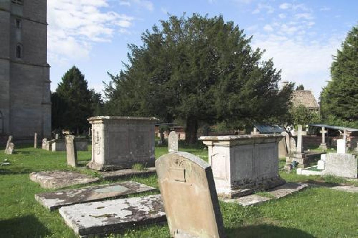 Pgds 20100215 161039 Img 8159 01