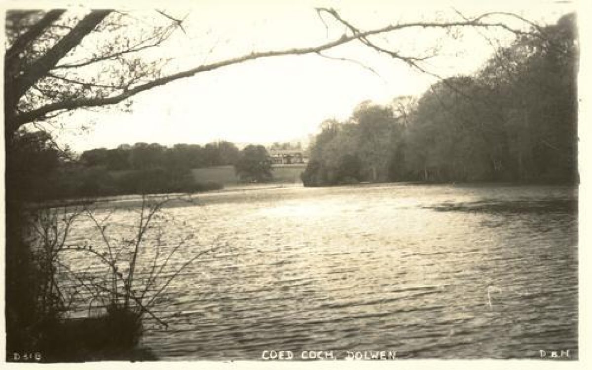 Pgds 20100327 205334 Coed Coch2
