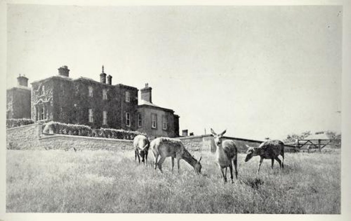 Pgds 20100331 185657 Llannerch3