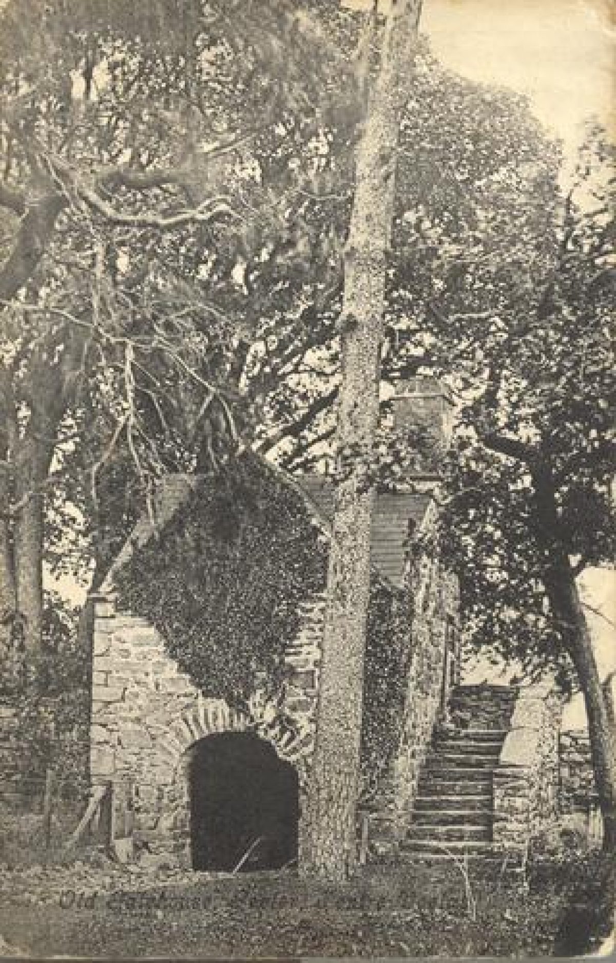 Pgds 20100401 193249 Pentre Voelas2