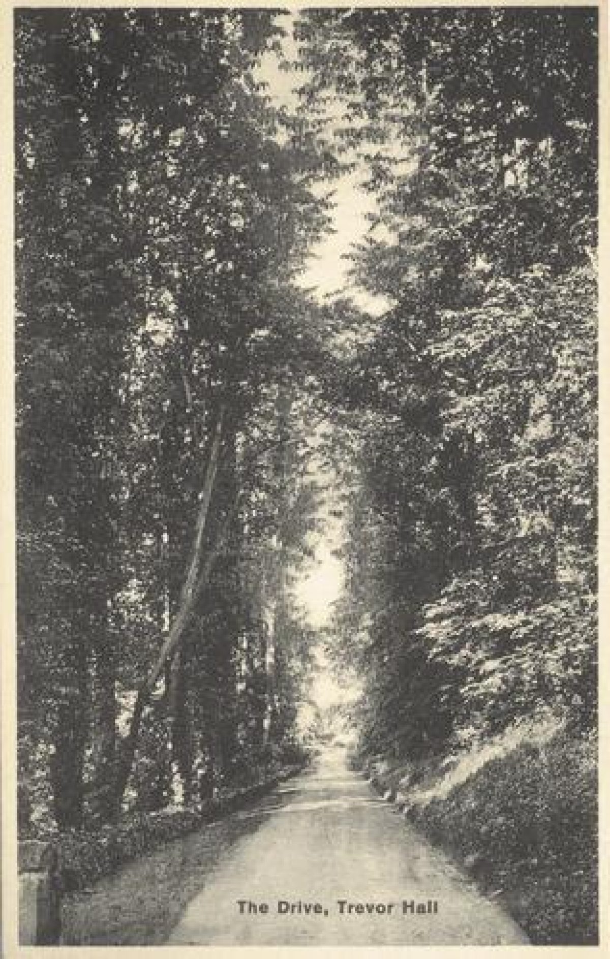 Pgds 20100414 182532 Trevor2